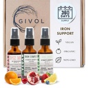 Iron Support Spray Bundle Liquid Vitamin B12 Methylcobalamin, Zinc Picolinate, and Bisglycinate | Non-GMO, Gluten-Free, Sugar-Free Iron Supplement | 2 Fl Oz Each | 360 Days Supply
