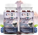 Shilajit Gummies pour les hommes et les femmes, Shilajit Pure Himalayan Original Multi-Supplement, Shilajit Ashwagandha & High dans Trace Minerals & Fulvic Acid for Energy, Strength & Immunity, 60 Servir