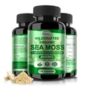 Irish Sea Moss Capsules 120ct Raw Sea Moss Wildcrafted Bladderwrack Burdock Root Capsules Super Food Immune Système Digestion santé Pilules de mousse de mer