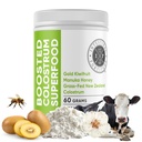 Intestinal Fortitude Boosted Colostrum Superfood Integratore alimentare: Grass-Fed New Zealand Bovine Colostrum, Oro Kiwifruit, Manuka Honey, per Digestione, Immune System, e Gut Health (150 Grammi)