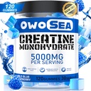 Monohydrate de créatine Gommies pour hommes et femmes 5000mg Monohydrate de créatine par service pour le soutien musculaire Énergie Boost 120 Comte Chewable 5g Supplément de créatine Vegan sans sucre (1 Pack, Blue Raspberry)