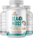 Organic Irish Sea Moss Pills - Wildcrafted Dr Sebi Inspired Seamoss Blend mit Turmeric, Burdock Root & Bladderwrack, Enhanced with Black Pepper - 60 Kapseln