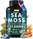Sea Moss Capsule Complex mit Sea Moss, Black Seed Oil, Aşhwagandha, Ginger & Vitamins C, D3-120 Kapseln,Superfood-Ergänzungen - Advanced Seamoss Pills, Wild Sea Moss Pills Pills, Made in USA
