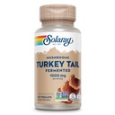 SOLARAY Fermented Turkey Tail Mushroom Supplement 1000mg - Gesamte Wellness-Unterstützung - Türkei Tail Mushroom Kapseln mit Organischen Pilzen - Vegan, Non-GMO, Lab Verified, 60-Day Garantie, 30 Servierungen