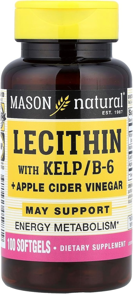 MASON NATURAL Lecithin mit KELP, B 6 Plus Apfelessig