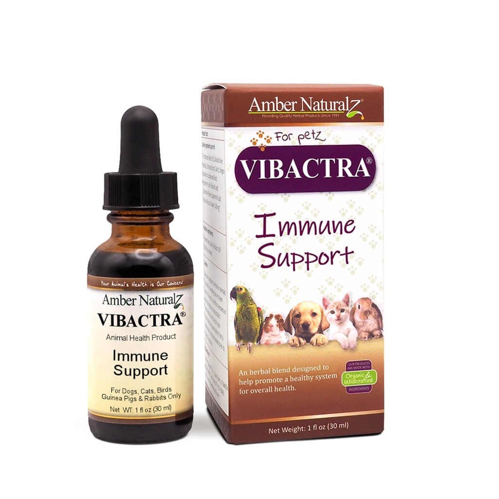 Amber NaturalZ Vibactra Immununterstützung Kräuterergänzung für Hunde, Katzen, Vögel, Guinea-Pigs, und Kaninchen | Pet Kräutermischung für Gesamtgesundheit | 1 Flüssige Ounce Glasflasche | Hergestellt in den USA