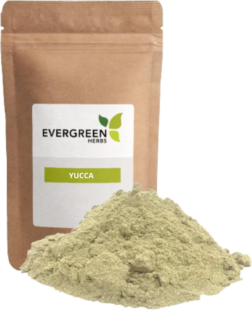 Polvere di Yuca Erbe Evergreen - Polvere di Yucca - 8 oz. - Sacchetto di stand up rivealable per assicurare la freschezza!