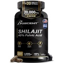 Shilajit Capsules 20 000mg – Pure Himalayan Shilajit pour les hommes et les femmes – Supplément d'acide fulvic organique avec 85+ Trace Minerals – Soutien à l'énergie naturelle et à la vitalité de haute puissance – 120 Capsules Vegan