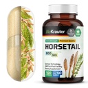 BIO KRAUTER Capsules d'herbes à queue cheval - 800 mg Résistance - 100 Compte - Capsules de poudre de queue cheval - Soutien capillaire