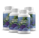 4 Celulas Madres AFA Stem Natural Cell 60 Capsules 1,000 mg Blue Green Algae Non GMO Gluten Free Aphanizomenon Flos-aquae celula Madre suplement