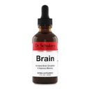 Dr. Schulze's Brain Formula 2 oz. - Vegan and Wild-Harvested | Stimulates Circulation and and Improved Mental Focus