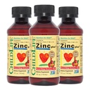 CHILDLIFE ESSENTIALS Flüssiges Zink Plus für Kinder & Kleinkind - Flüssige Ergänzung Tropfen, Zink Gluconate & Kupfer für Immununterstützung - Mango Erdbeere, 4 Fl Oz (Pack mit 3)