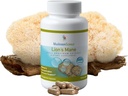 MushroomScience Lions Mane Mushroom Capsules, Memory & Concentration Support, Full Spectrum Extract, Mushroom Supplement für Erwachsene, Hot Water Extracted Pilze, Vegetarisch, 300MG, 90 ct