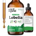 Teinture de lobelia sauvage et biologique - Détox pulmonaire et nettoyage - supplément de lobelia liquide - gouttes d'extrait de feuille végétalienne, sans sucre et sans alcool - 4 fl oz