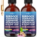 NEW AGE Lymphatic Drainage Supplement - Burdock Lymphatic Support Drops - Burdock Root, Mullein, Echinacea, Elderberry, Dandelion, Astragalus, Milk Thistle, Red Clover - 4 oz