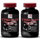 Energy Source Blend - TRIBULUS TERRESTRIS EXTRACT - Stamina Enhancement Support, Plant-Powered Vitality, Body Power Mix, Dynamic Strength and Energy, Pure Muscle Recharge 2 Bottles 180 Tablets