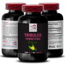 Body Power - TRIBULUS TERRESTRIS EXTRACTS - Active Workout Boost, Power Recharge, Energy for Activity, Pure Energy Support, Strength Boost, Strength Support, Physical Power Booster 1 Bottle 60 Tabs