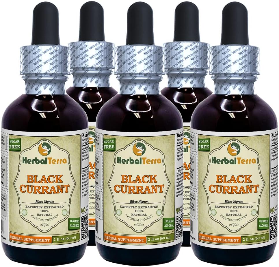 Schwarze Johannisbeere (Ribes nigrum) Tinktur, getrocknete Blätter Flüssiger Extrakt (Markenname: HerbalTerra, Proudly Made in USA) 5x2 fl.oz (5x60 ml)