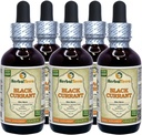 Schwarze Johannisbeere (Ribes nigrum) Tinktur, getrocknete Blätter Flüssiger Extrakt (Markenname: HerbalTerra, Proudly Made in USA) 5x2 fl.oz (5x60 ml)
