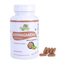 Natural Fiber Ashwagandha Capsules 60 Count | 1000mg High Potency Organic Root Extract | Plant-Based, Non-GMO, Gluten-Free | Natural Mood & Balance Support for Men & Women (Ashwagandha 60 Capsules)