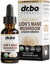 Lions Mane Mushroom Supplément gouttes - Bio Lion Mane Mushroom Liquid Tecture for Focus, Fog Cerveau Suppléments Santé - Vegan Herbal Nervine Nootropic Organic Lions Lions Complément liquide Extrait 1oz