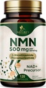 NMN Supplement - β-Nicotinamide Mononucleotide (NMN) 500 mg Per Serving - Pure NMN Formula - NAD+ Precursor Supplement - Cellular Energy & NAD Support - Vegan Capsules - Bottled in USA - 120 Capsules