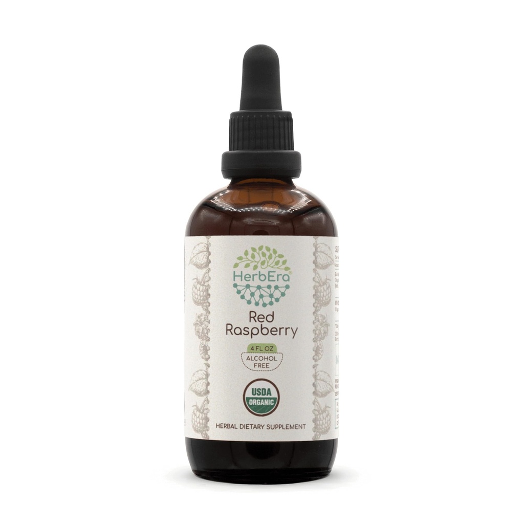 HerbEra Red Raspberry B120 USDA Organic Tincture | Alcohol-Free Extract, High-Potency Herbal Drops | Certified Organic Red Raspberry (Rubus idaeus) Dried Leaf (4 oz)
