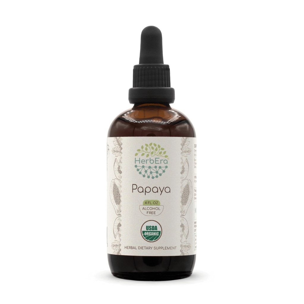 HerbEra Papaya B120 USDA Organic Tincture | Alcohol-Free Extract, High-Potency Herbal Drops | Certified Organic Papaya Carica Dried Leaf (4 oz)