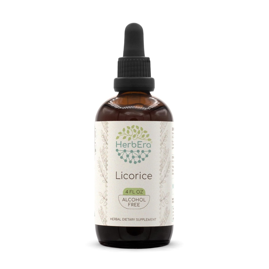 HerbEra Licorice B120 Alcohol-Free Herbal Extract Tincture, Super-Concentrated (Kan tsau, Glycyrrhiza Glabra) 4 fl oz