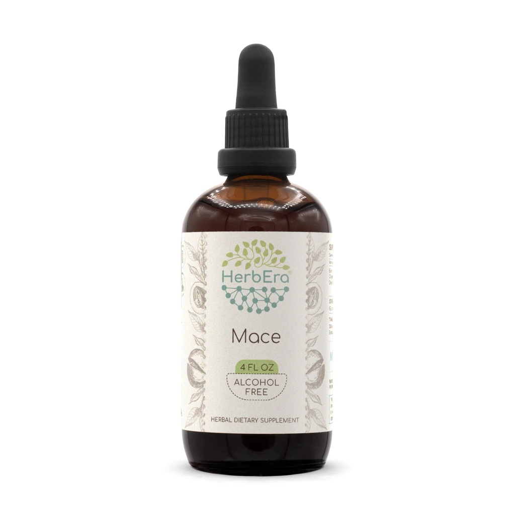 HerbEra Mace B120 Alcohol-Free Herbal Extract Tincture, Mace (Myristica fragrans) Dried Aril (4 fl oz)