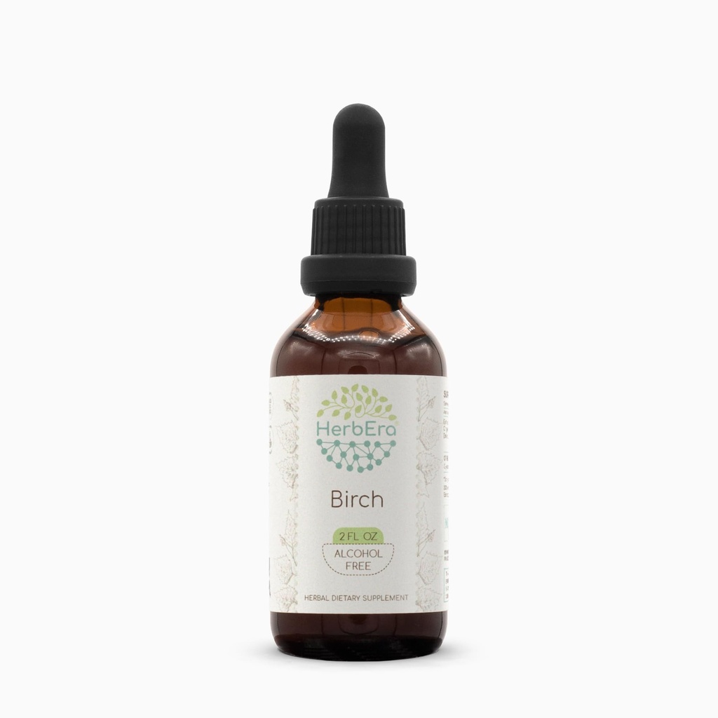 HerbEra Birch B60 Alcohol-Free Herbal Extract Tincture, Super-Concentrated Birch (Betula Pendula) (2 fl oz)