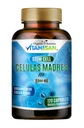 Celulas Madres AFA Stem Natural Cell 120 Kapseln 1000 mg Blue Green Algae Non GMO Gluten Free Aphanizomenon Flos-aquae celula Madre Suplement