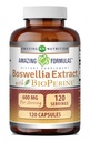 Amazing Formulas Boswellia Extract with Bioperine Supplement | 600 Mg per Serving | Capsules | Non-GMO | Gluten-Free | Made in USA (1 Pack, 120 Count)