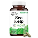Wild & Organic Sea Kelp Capsules 600 mg - Immune & Overall Support - Sea Kelp Iodine Supplement for Men & Women - Ocean Seaweed Supplement - Vegan, No Fillers, Non-GMO - 120 Count