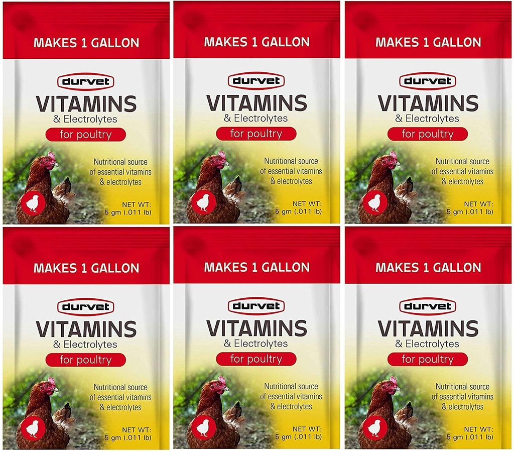 Durvet 6 Pack de vitamines et électrolytes pour la volaille, 5 Grams, fait 6 Gallons