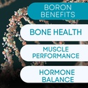 Boron Mineral Supplement - 30mg=60 Count=60 Trace Minerals Your Body Needs to Maintain Optimal Health and Wellness.