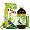 Basic Ayurveda Bitter Gourd (Karela) Juice | 32.46 Fl Oz (960ml) | Natural Bitter Melon Juice for Detox Support | Plant Based Ayurvedic Herbal Drink | for Liver Health, Digestion & Immunity