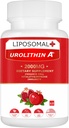 Liposomal Urolithin A Supplemento 2000MG per Energy 60 capsule