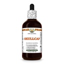 Skullcap (Scutellaria Lateriflora) Dry Herb Glycerite, All Natural, Vegan, Lab Tested Alcohol-Free Liquid Extract - 4 fl.oz