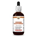 Chinese Goldthread (Coptis Chinensis) Dry Root Tincture, Made in Hawaii, All Natural, Vegan, Pure Liquid Extract - 2 fl.oz