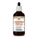 Chinese Thuja (Platycladus Orientalis) Dry Seed Glycerite, Made in Hawaii, All Natural, Vegan, Lab Tested Alcohol-Free Liquid Extract - 4 fl.oz