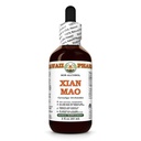 Xian Mao (Curculigo Orchioides) Dry Root Glycerite, All Natural, Vegan, Lab Tested Alcohol-Free Liquid Extract - 2 fl.oz