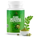 PRESERVE Pure Moringa Oleifera Leaf Supplement, NSF Certified, Pure Leaf Powder Green Superfood Capsules, Non GMO, Made in Sri Lanka, 60 Count