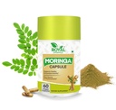 Moringa Capsule Supplement,10:1 Extract, 500 mg, 60 Veggie Capsules, Supports Antioxidant Activity