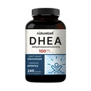 NatureBell DHEA 100 mg - 240 capsule - DHEA Supplemento per i livelli di energia, Immune Health & Healthy Aging Support - Altamente Biodisponibile* - Non OGM & Gluten Free