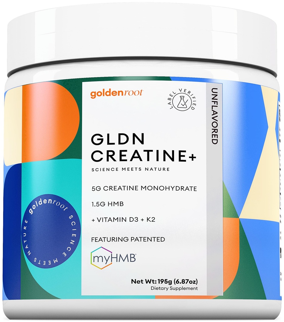 GLDN Creatine - Kreatin-Monohydrat mit HMB für anhaltende Muskelunterstützung und -gewinnung mit Vitamin D3 und K2 für Knochen und Gelenkgesundheit - Entworfen für Frauen und Männer - Unflavored Powder - 30 Serve