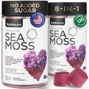 Multimineral Sea Moss Gummies 3000 Mg con Probiotico, Bladderwrack, Black Seed Oil, Ashwagandha, Burdock Root (2 Pack) - Seamoss irlandese per l'immunità, tiroide e Gut Health - Vegan, Sugar Free