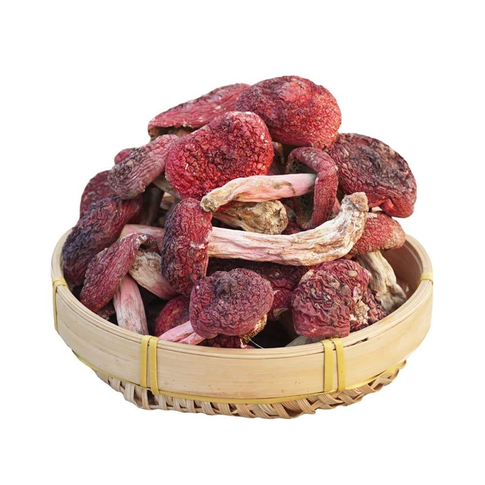 Russula Mushroom Red Mushroom Russula Sp Chinese Russula Vinosa,Wild Mountain Russula Hong Gu Dried (100 Grams /0.22 lbs)