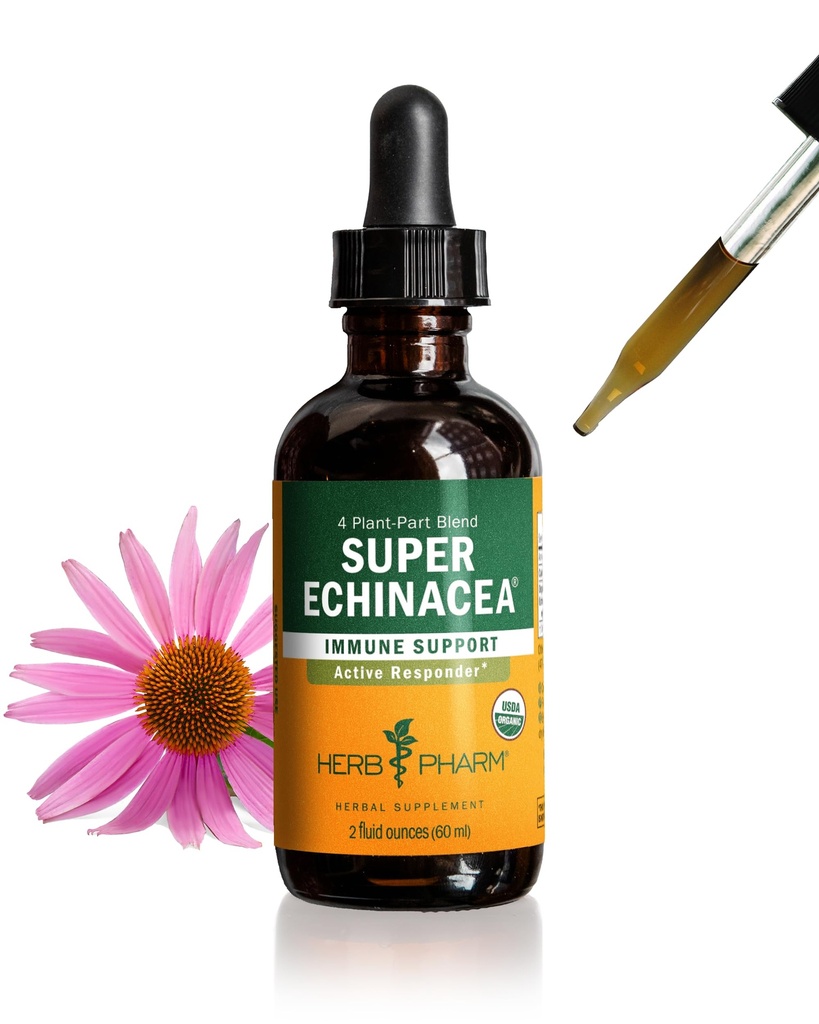 Herb Pharm certifié Bio Super Echinacea gouttes d'extrait liquide pour le support actif du système immunitaire, 2 Oz