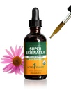 Herb Pharm certifié Bio Super Echinacea gouttes d'extrait liquide pour le support actif du système immunitaire, 2 Oz